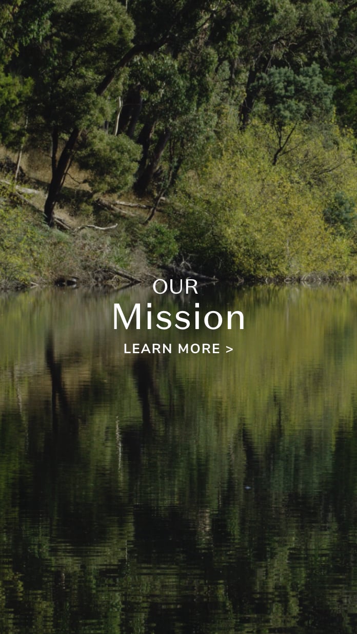 Our Mission.  Learn More